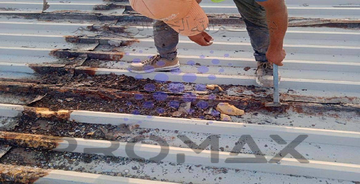 Hamly Internationall Musaffah - metal roof waterproofing project by Promax in Dubai, UAE